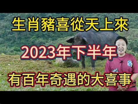 2023屬牛買房